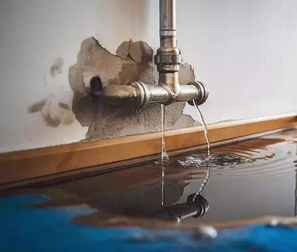 Professional Water Damage Restoration Experts in Bella Vista, AR — Fast, Reliable & Certified